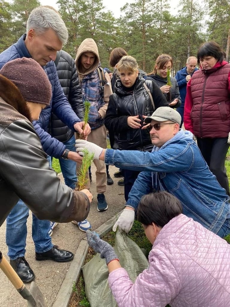 В Сосновом бору поселка Усть-Кинельский прошла акция по высадке саженцев  хвойных пород для восполнения потерь прошедших десятилетий — Сайт  администрации Городского округа Кинель